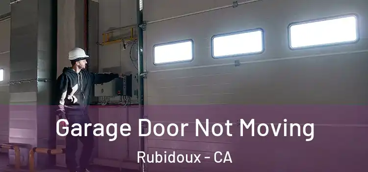  Garage Door Not Moving Rubidoux - CA