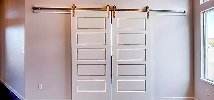 Glass Barn Door with Installation Hardware Kit Rubidoux