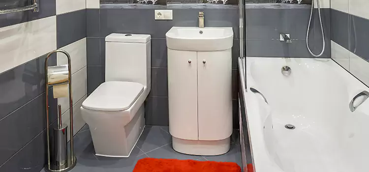 Hansgrohe Shaving Mirror Rubidoux
